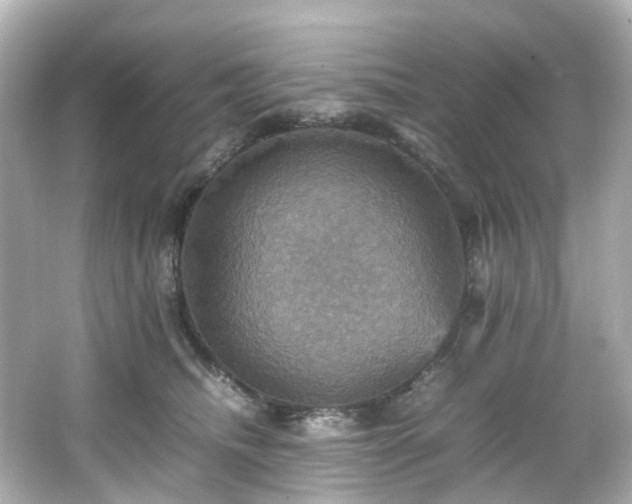 X0000066540468200603201430