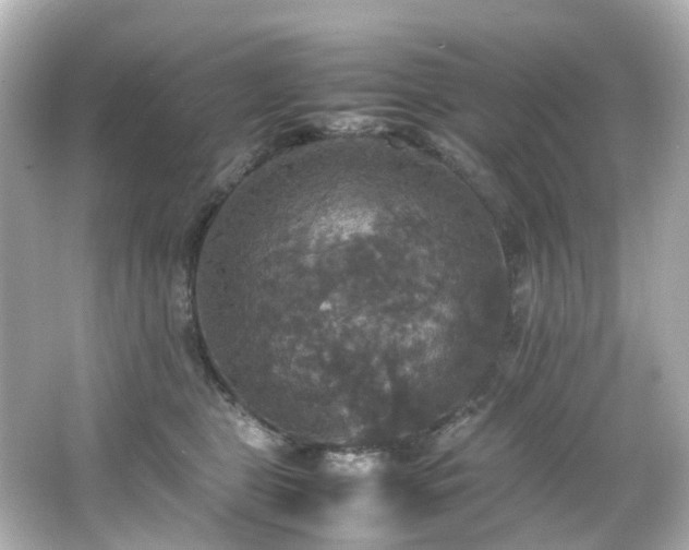 X0000066540469200603201430