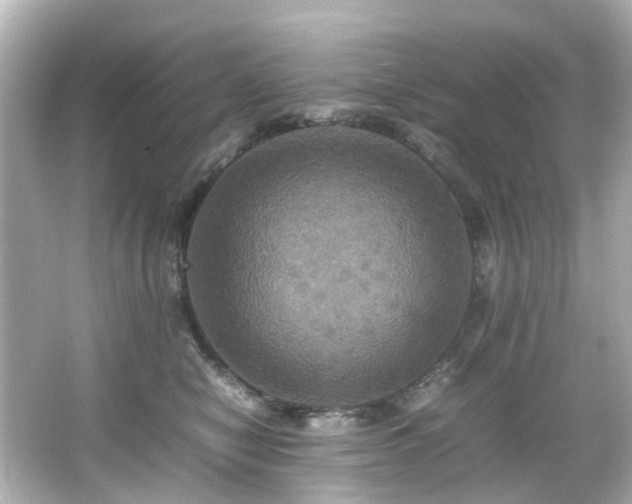 X0000066540470200603201430