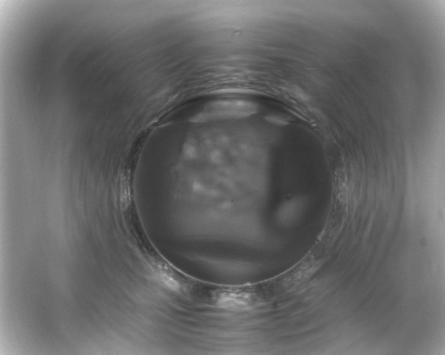 X0000066540471200603201430