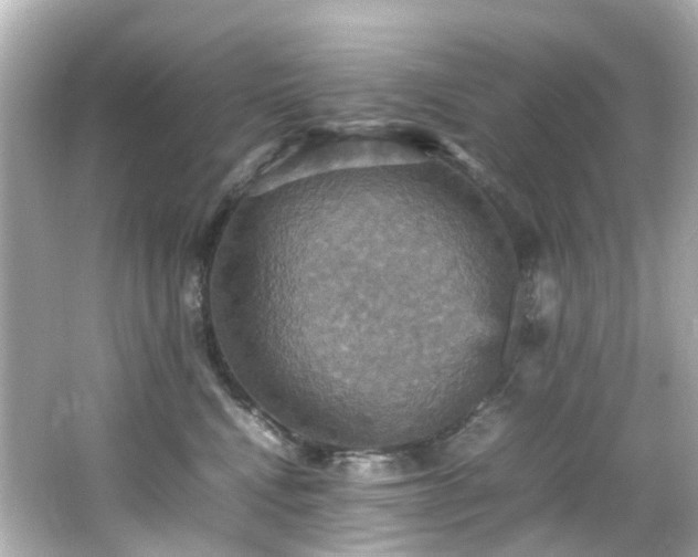 X0000066540472200603201430