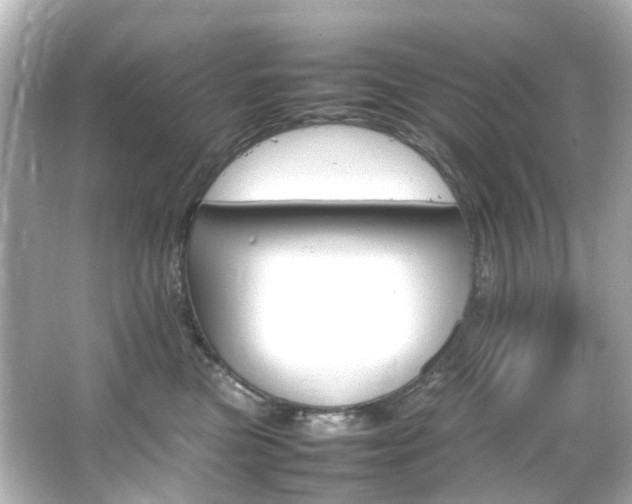 X0000066540473200603201430