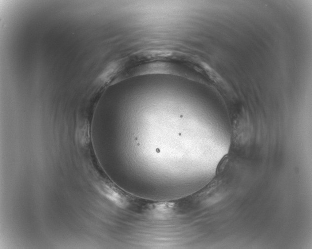 X0000066540474200603201430