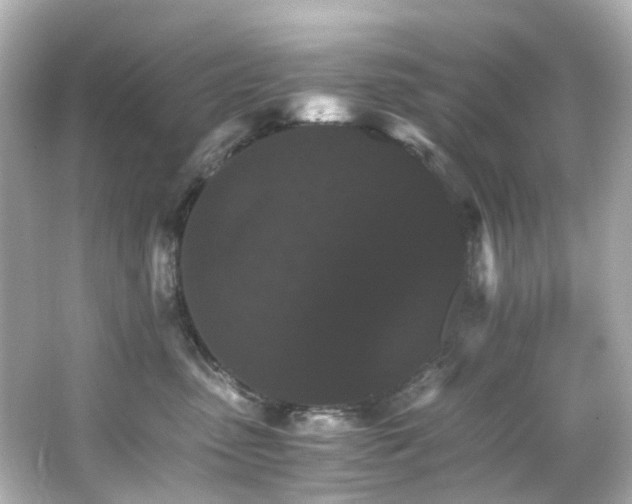 X0000066540475200603201430