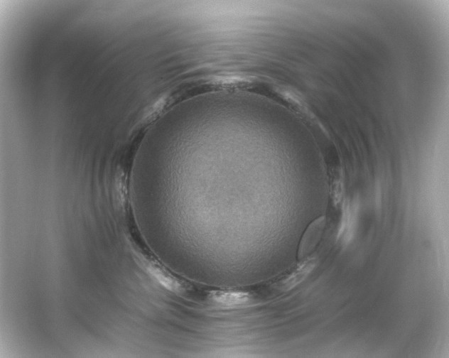 X0000066540476200603201430