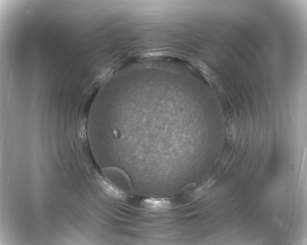 X0000066540477200603201430