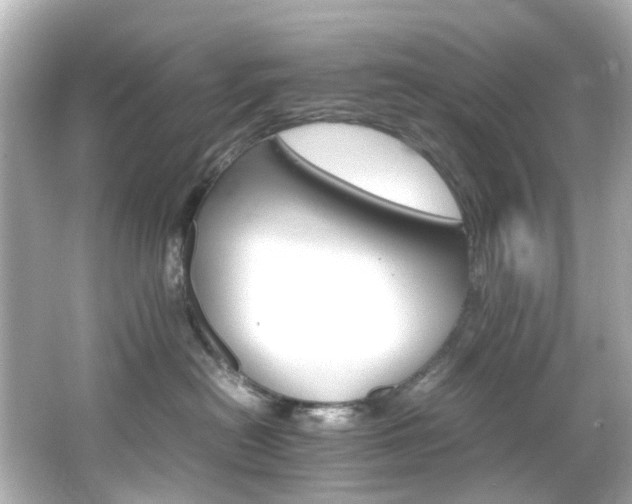 X0000066540478200603201430