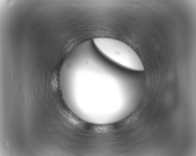 X0000066540479200603201430