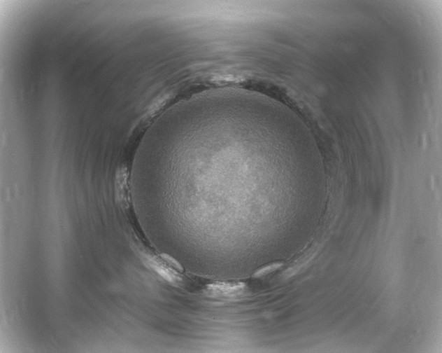 X0000066540480200603201430