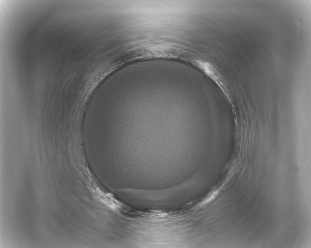 X0000066540481200603201430