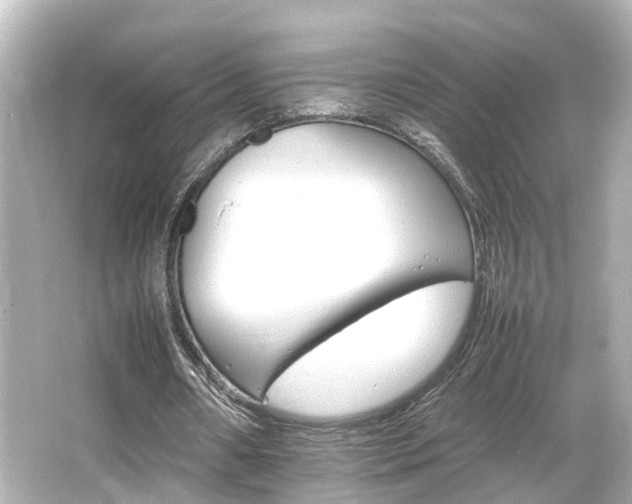 X0000066540482200603201430