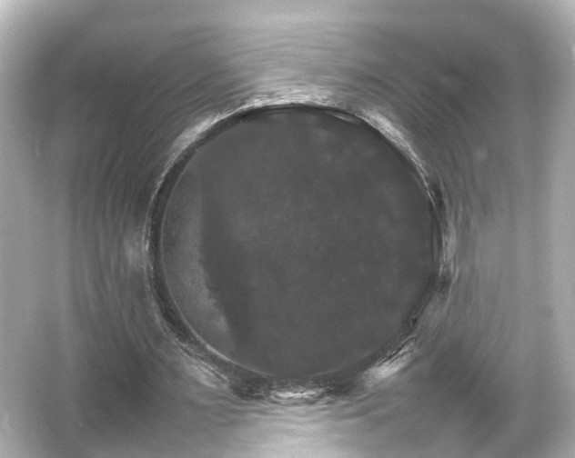 X0000066540483200603201430