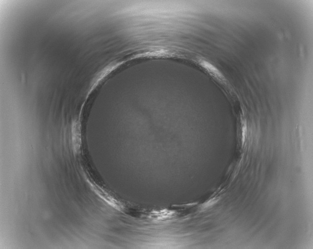 X0000066540484200603201430