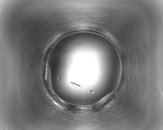 X0000066540485200603201429