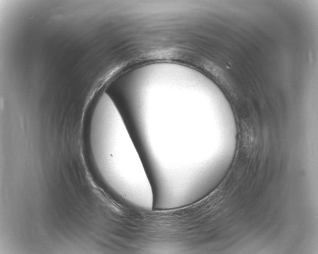 X0000066540486200603201429