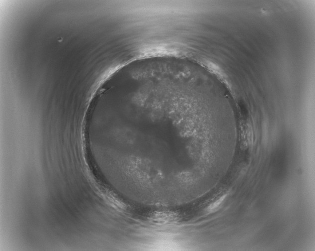 X0000066540487200603201429