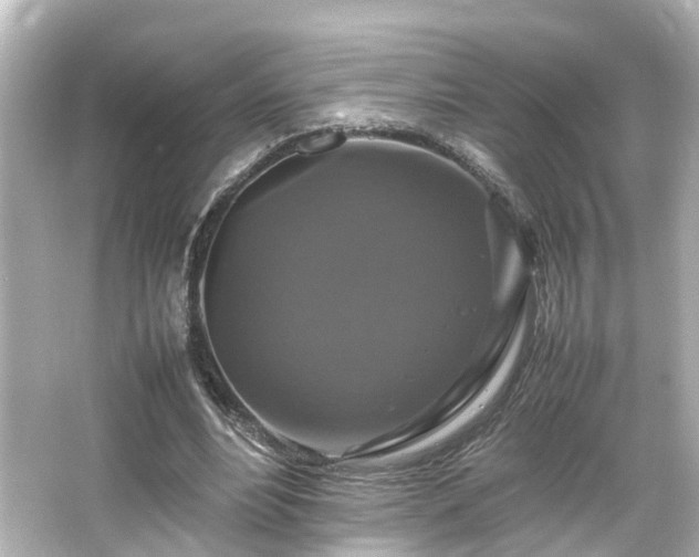 X0000066540488200603201429