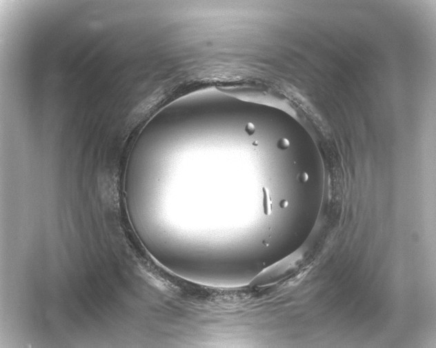 X0000066540489200603201429