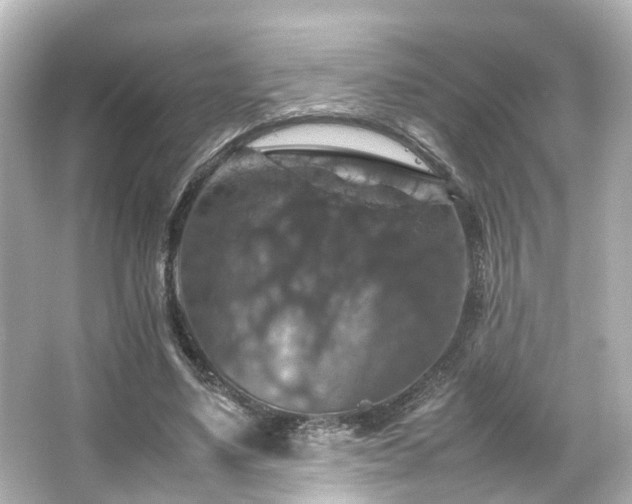 X0000066540491200603201429