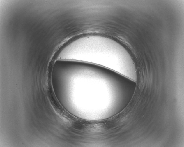 X0000066540492200603201429