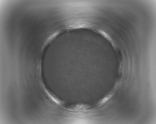 X0000066540493200603201429