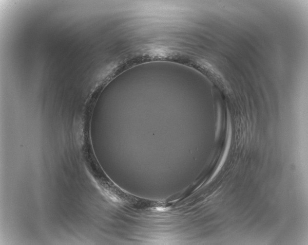 X0000066540496200603201429