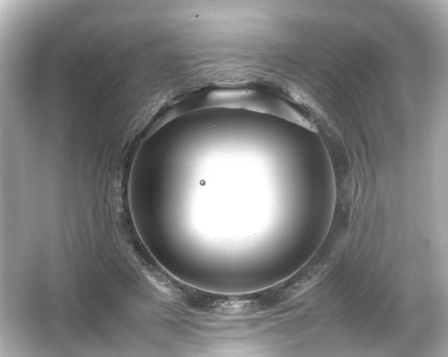 X0000066540497200603201429