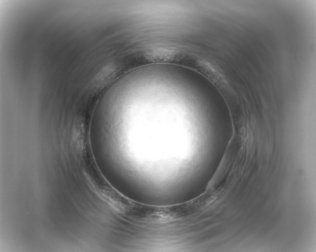 X0000066540498200603201429