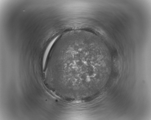 X0000066540499200603201429