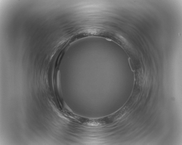 X0000066540500200603201429