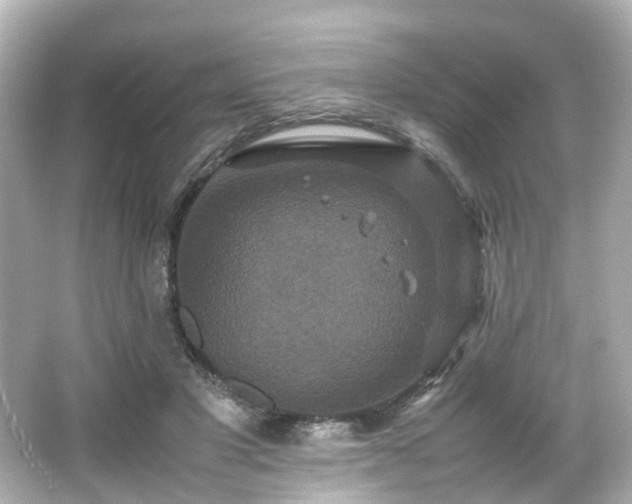 X0000066540501200603201429