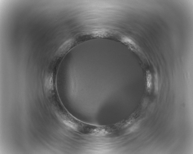 X0000066540502200603201429