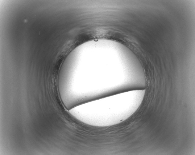 X0000066540503200603201429