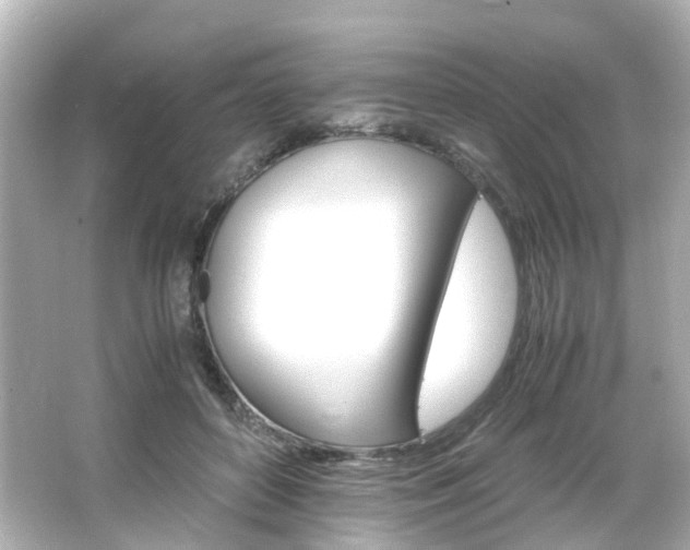 X0000066540504200603201429