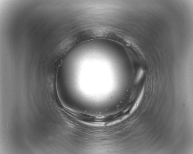 X0000066540505200603201429