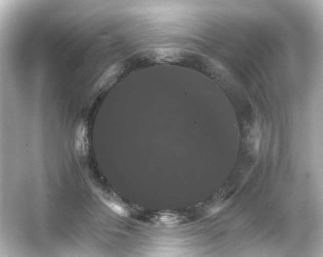 X0000066540506200603201429