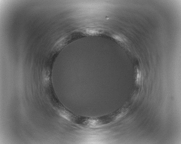 X0000066540507200603201429