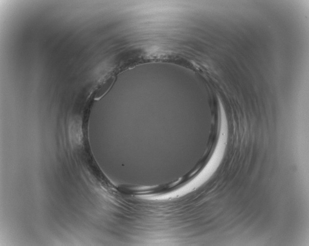 X0000066540508200603201429