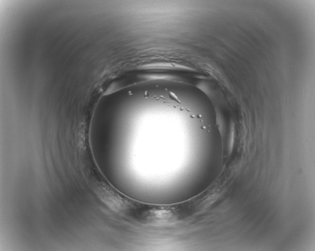 X0000066540509200603201429