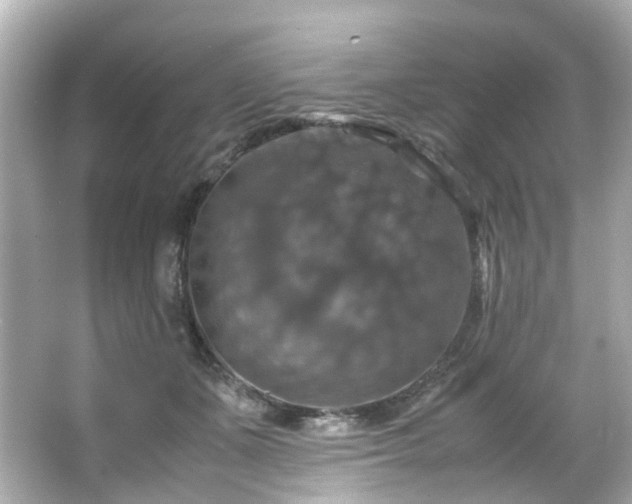 X0000066540511200603201429