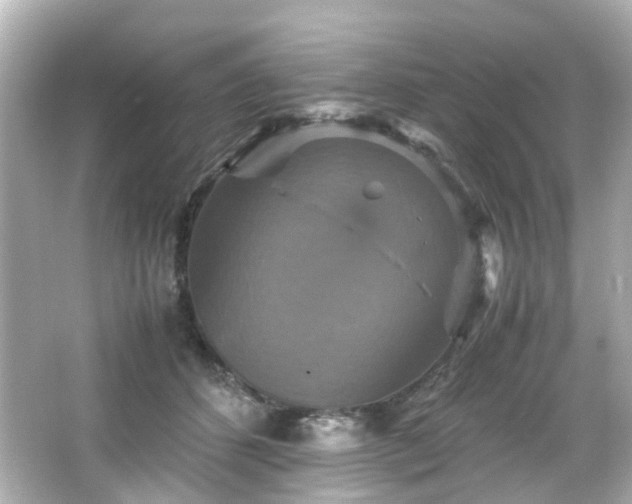 X0000066540512200603201429