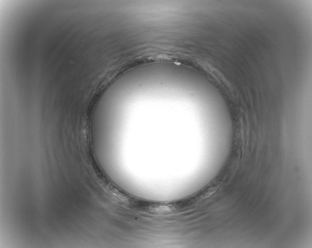 X0000066540513200603201429