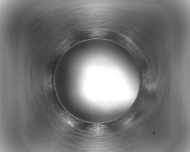 X0000066540514200603201429