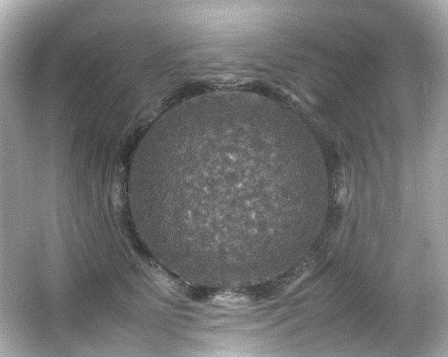 X0000066540515200603201429