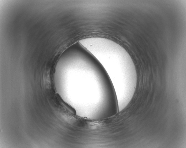 X0000066540516200603201429