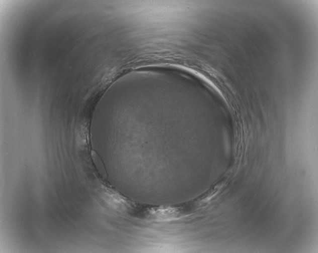 X0000066540517200603201429