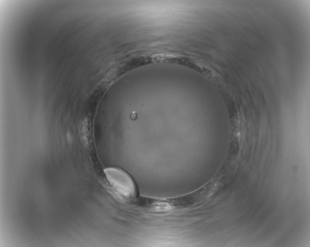 X0000066540519200603201429