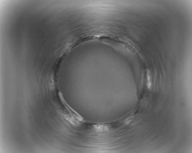 X0000066540520200603201429