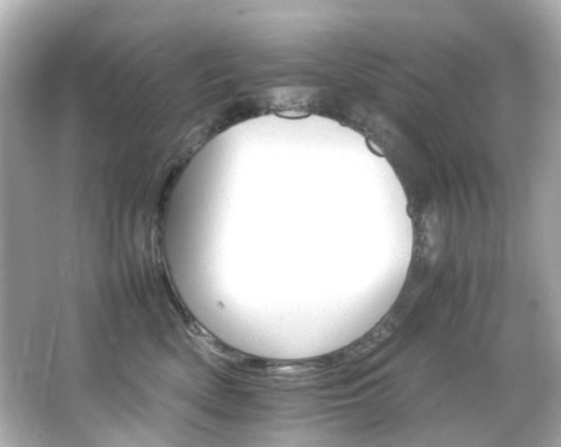 X0000066540522200603201429