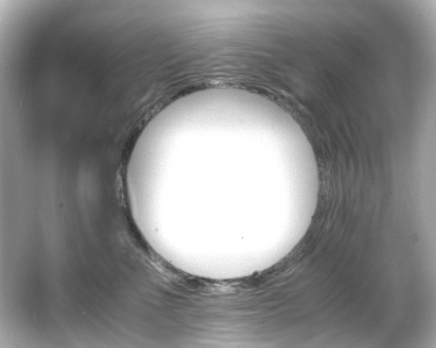 X0000066540523200603201429